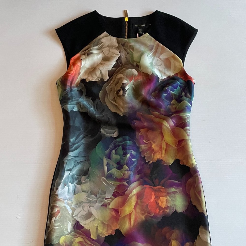 NWT Ted Baker Floral Dress
